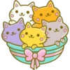 Cats Foods 22
