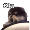 Yeontan 14