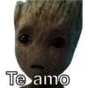 Te amo