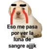 lomitos bonitos 9