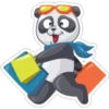Panda 17