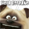 HOLA ESTRANO
haddderbonilla