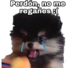 Yeontan 15