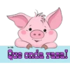 Cute Pig 13