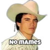 NO MAmes
Für Taria Arace
