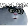 NO TE CREO
haddderbonilla
