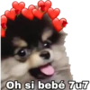 Yeontan 16
