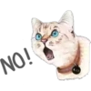 Cat Talk 13