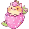 Cats Foods 23