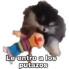 Yeontan 17