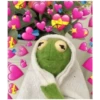 Kermit the Frog (pics) 18