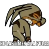 NO LASTIMEN ALA PULGA