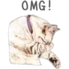 Cat Talk 14