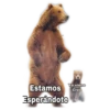 Ya viene
Estamos Creo
Esperándote