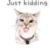 Cat Talk 15