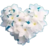 Цветочные сердца 22