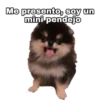 Yeontan 18