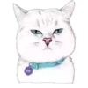 Cat Talk 16