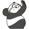 Panda 2 15