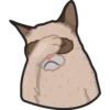 Facepalm 18