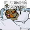 LA PULGA ESTÁ DESCANSANDO