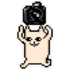 PixelCat 15