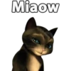 Miaow