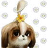 haddderbonilla