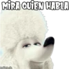 MIRA QUIEN HABLA
haddderbonilla