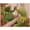 Kermit the Frog (pics) 20