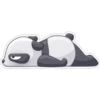 Panda 19