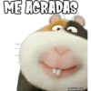 ME AGRADAS
haddderbonilla