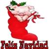 Cute Pig 17