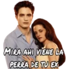 Crepusculo Saga 25