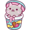 Cats Foods 24