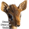 Bueno
Pues por
Todos