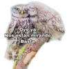 Oye ya
Nos están mirando
Basta