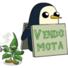 Pingüinito 9