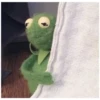 Kermit the Frog (pics) 22
