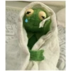Kermit the Frog (pics) 23