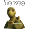 Te veo
Cadolfoo jose