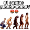 Si captas
pinche mono?
!#%&$ !#%&$