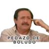 PEDAZO DE
BOLUDO