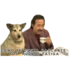 COMO TE GUSTA RASCARTE
LOS HUEVOS FATIGA
