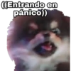 Yeontan 20