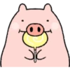 Very Cute And Round Pig Emoji 24