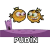 PUDİN