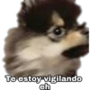 Yeontan 22