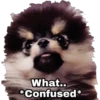 Yeontan 23