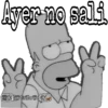 Homero sarcástico 25